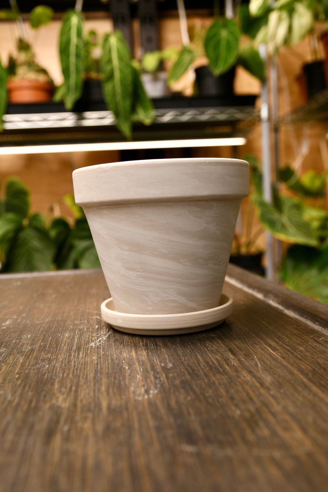Granite Terracotta Pot 4" with Saucer and Drainage