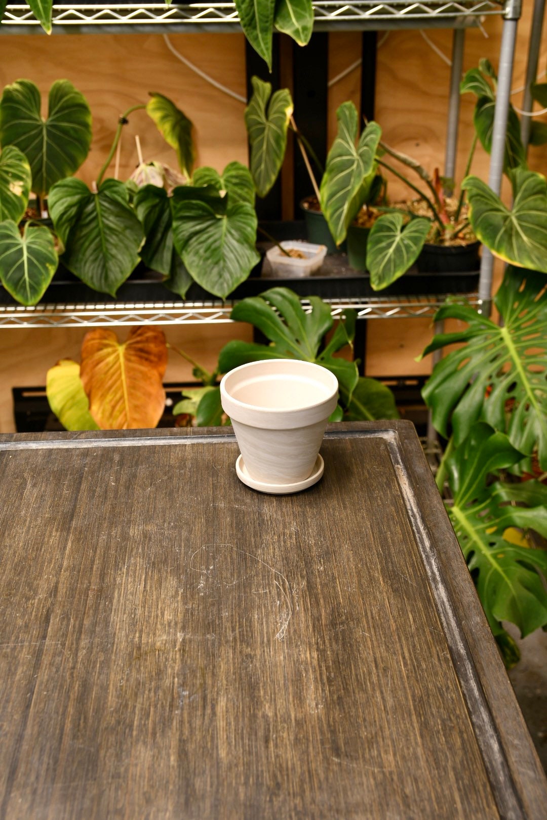 Granite Terracotta Pot 4" with Saucer and Drainage