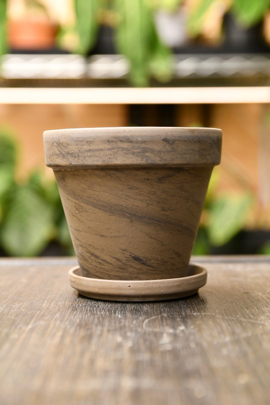 Terracotta Pot 4" with Saucer and Drainage