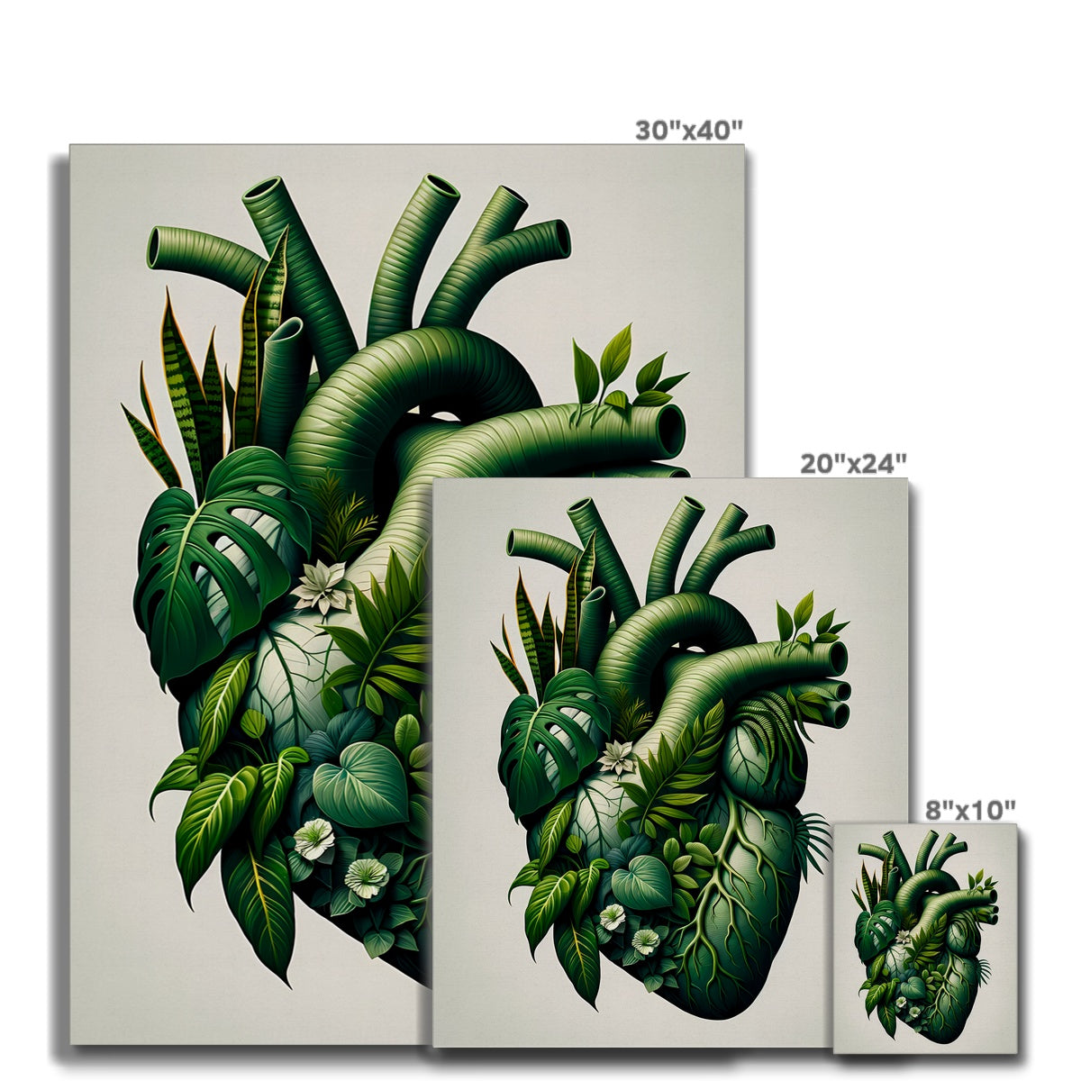 Anatomical Botanical Heart Canvas