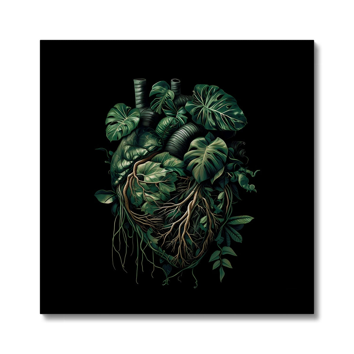 Anatomical Botanical Heart Black Canvas