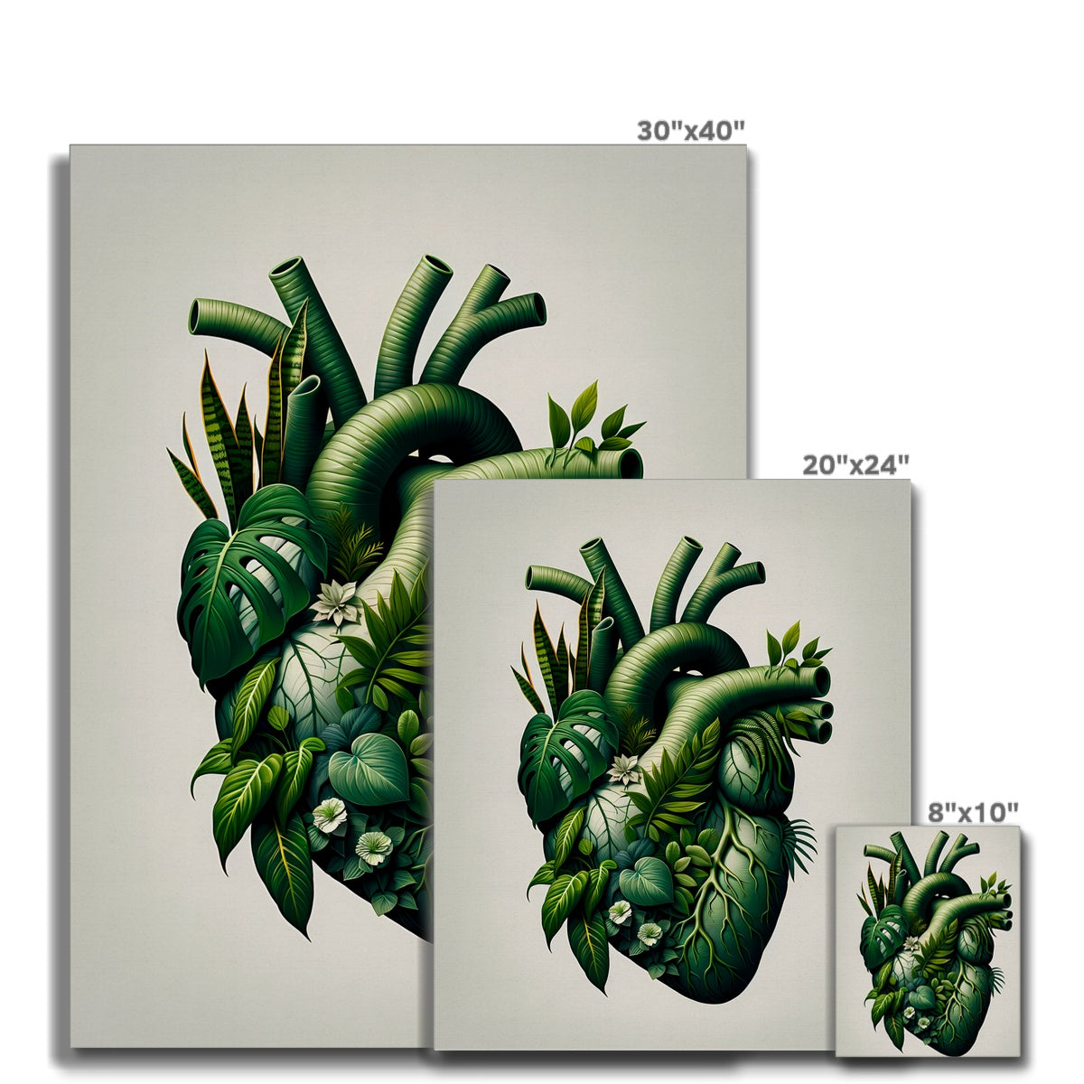 Anatomical Botanical Heart White Canvas