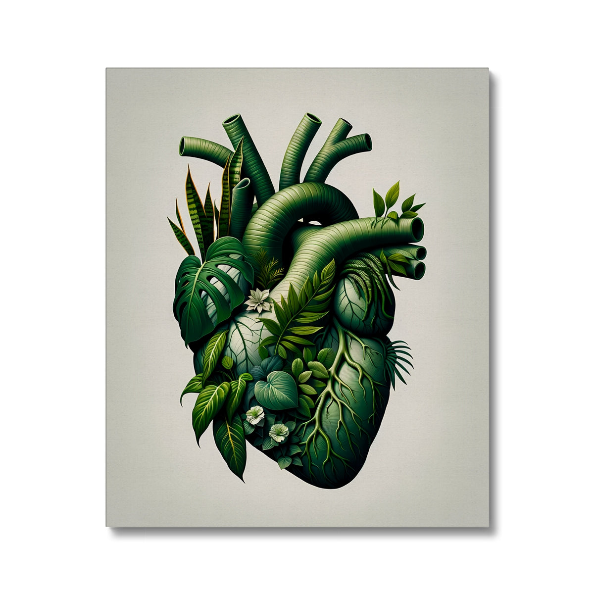 Anatomical Botanical Heart White Canvas