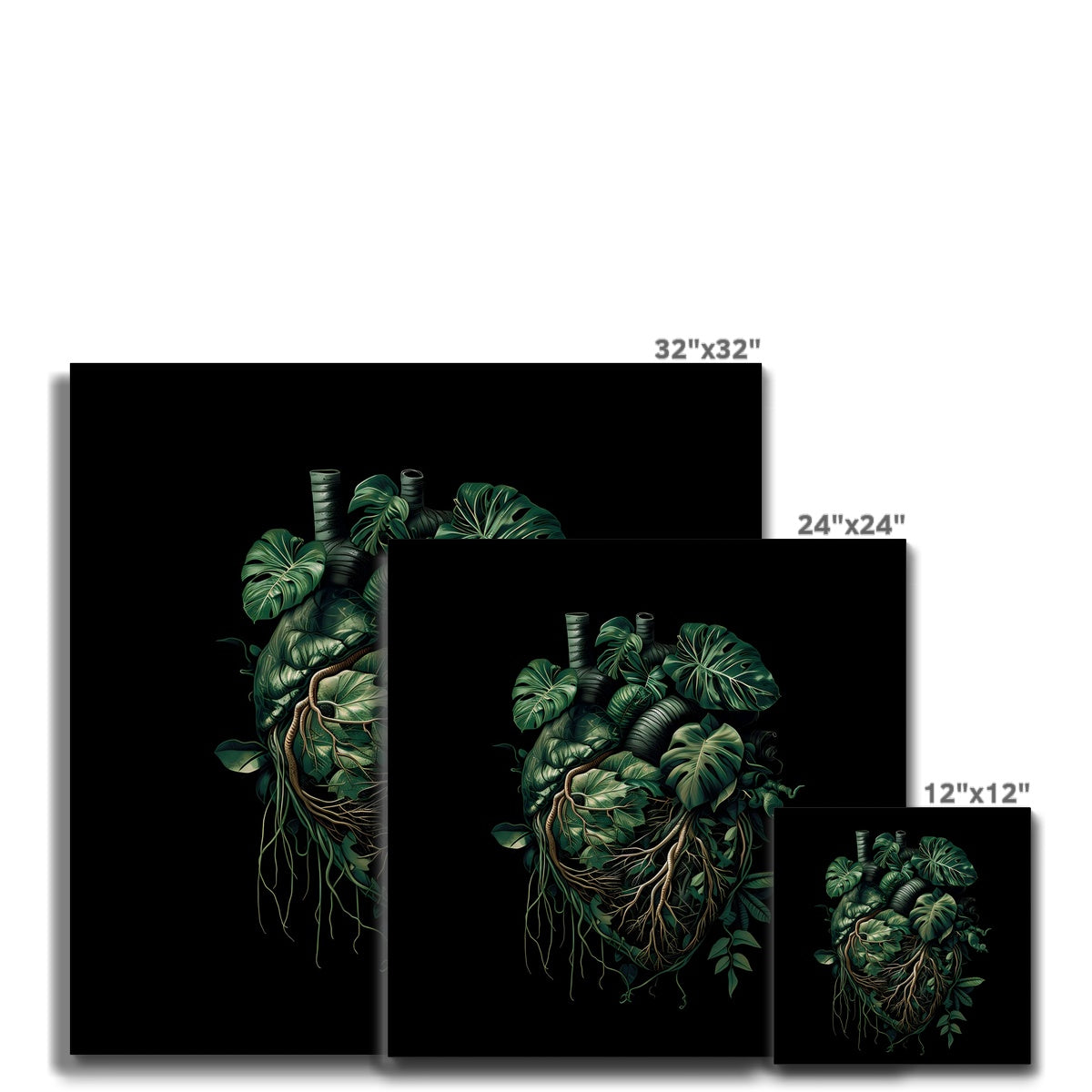 Anatomical Botanical Heart Black Canvas