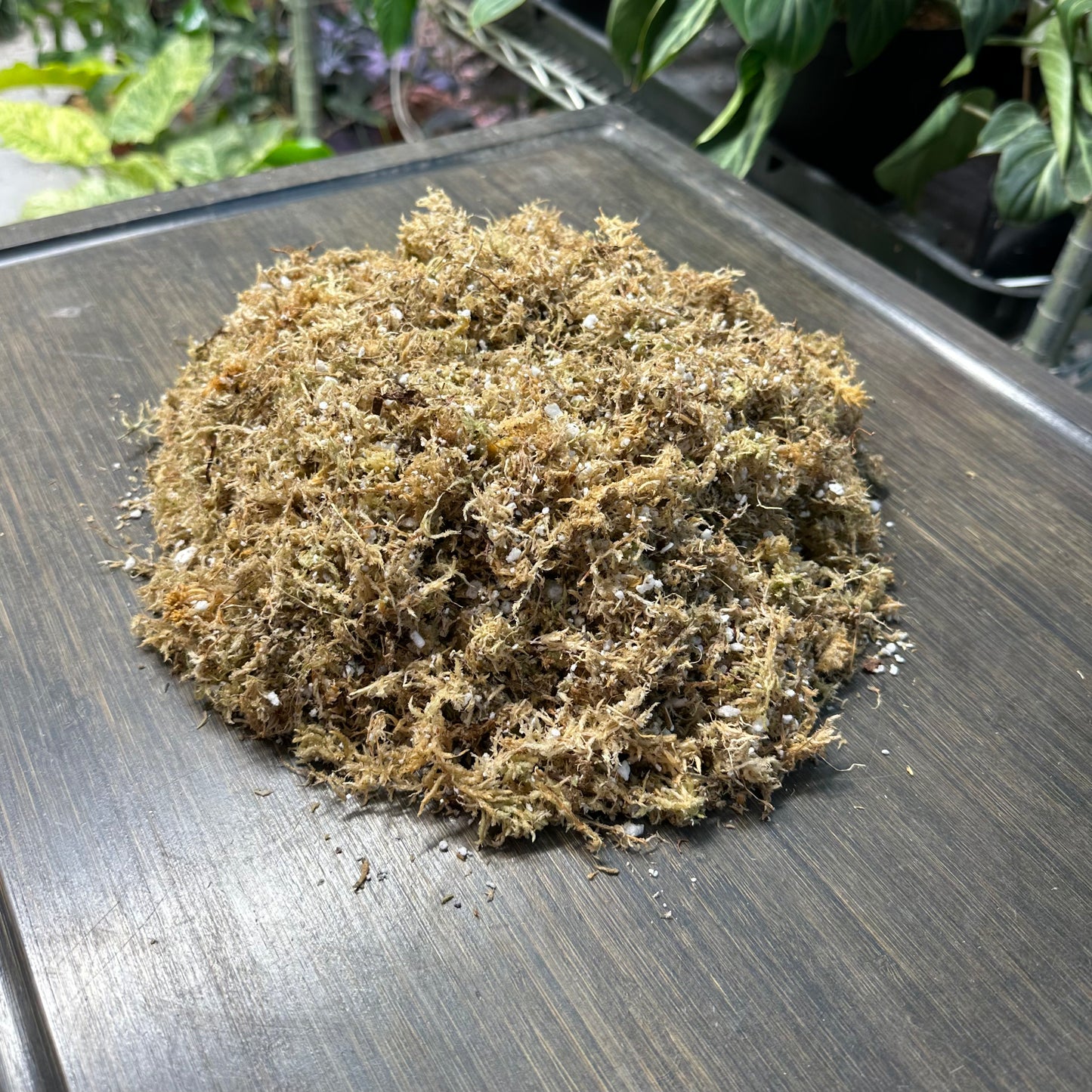 Sphagnum Moss & Perlite Mix