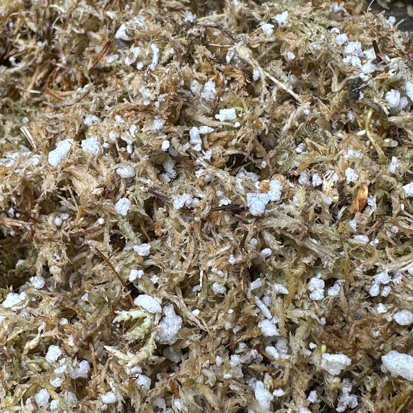 Sphagnum Moss & Perlite Mix