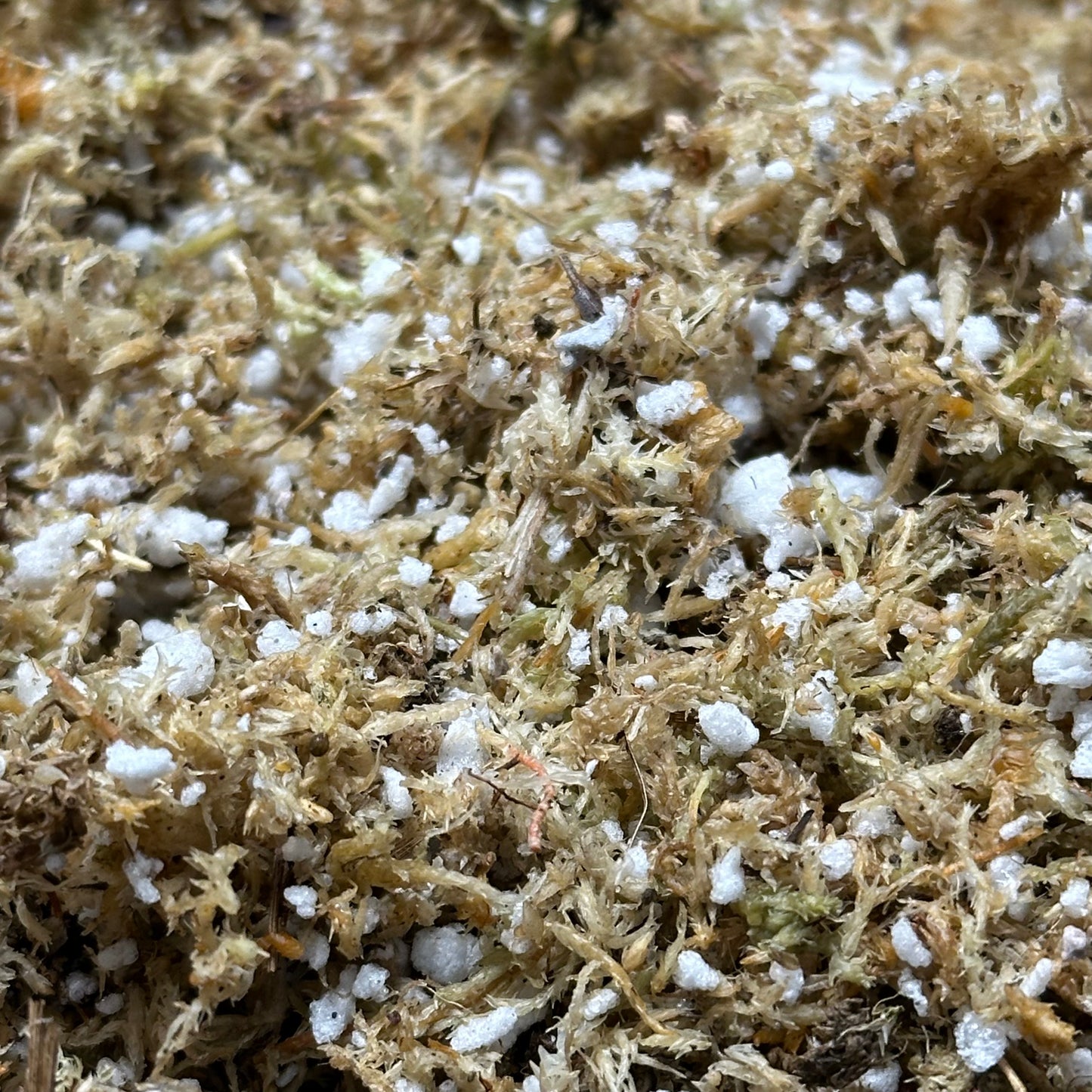 Sphagnum Moss & Perlite Mix