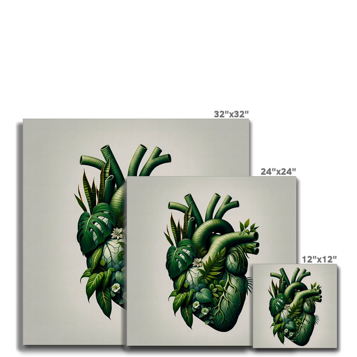 Anatomical Botanical Heart White Canvas