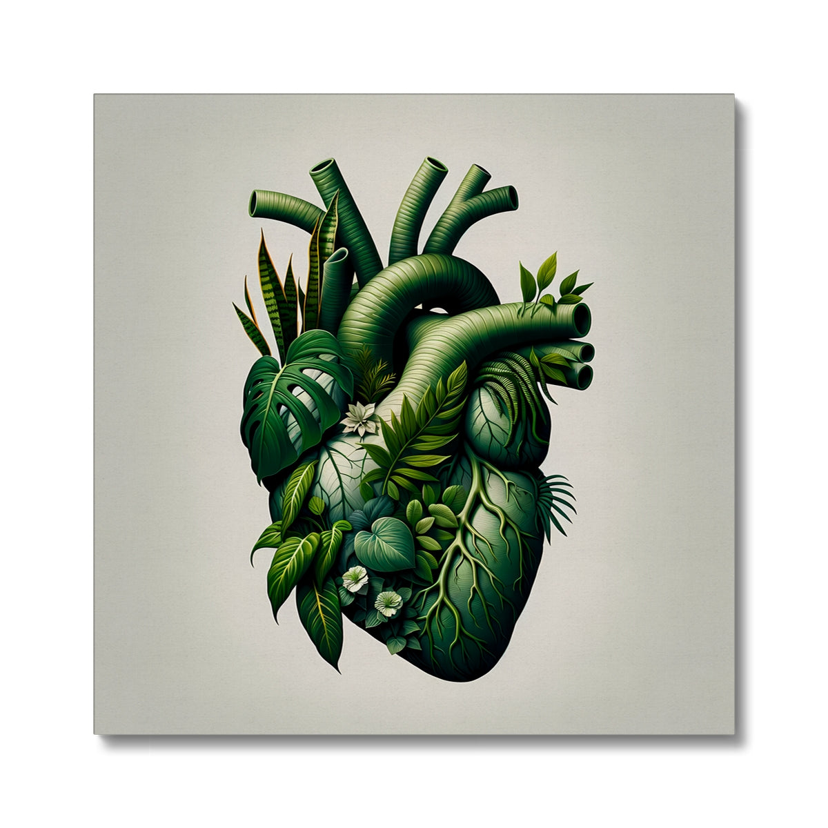 Anatomical Botanical Heart White Canvas