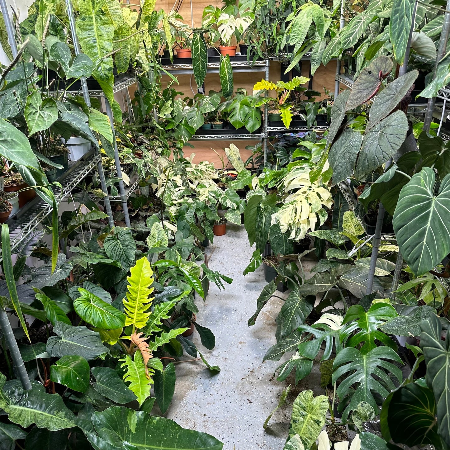 Visit the Greenhouse