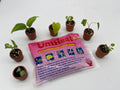 Heat Pack
