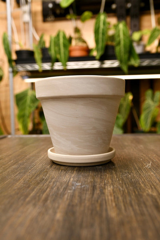 Granite Terracotta Pot 4" with Saucer and Drainage