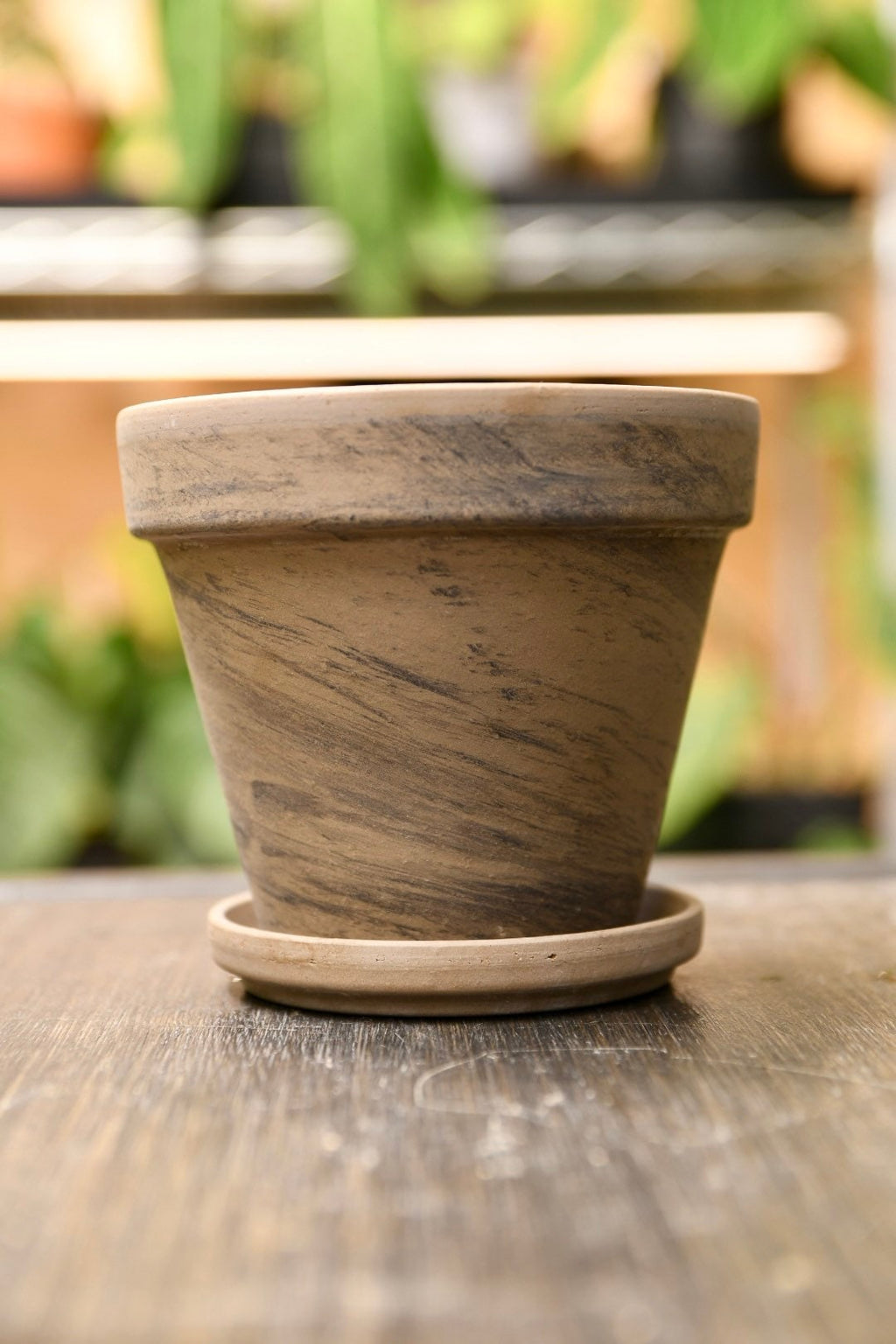 Terracotta Pot 4" with Saucer and Drainage