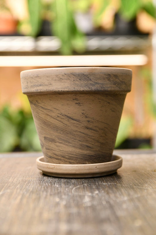Terracotta Pot 4" with Saucer and Drainage